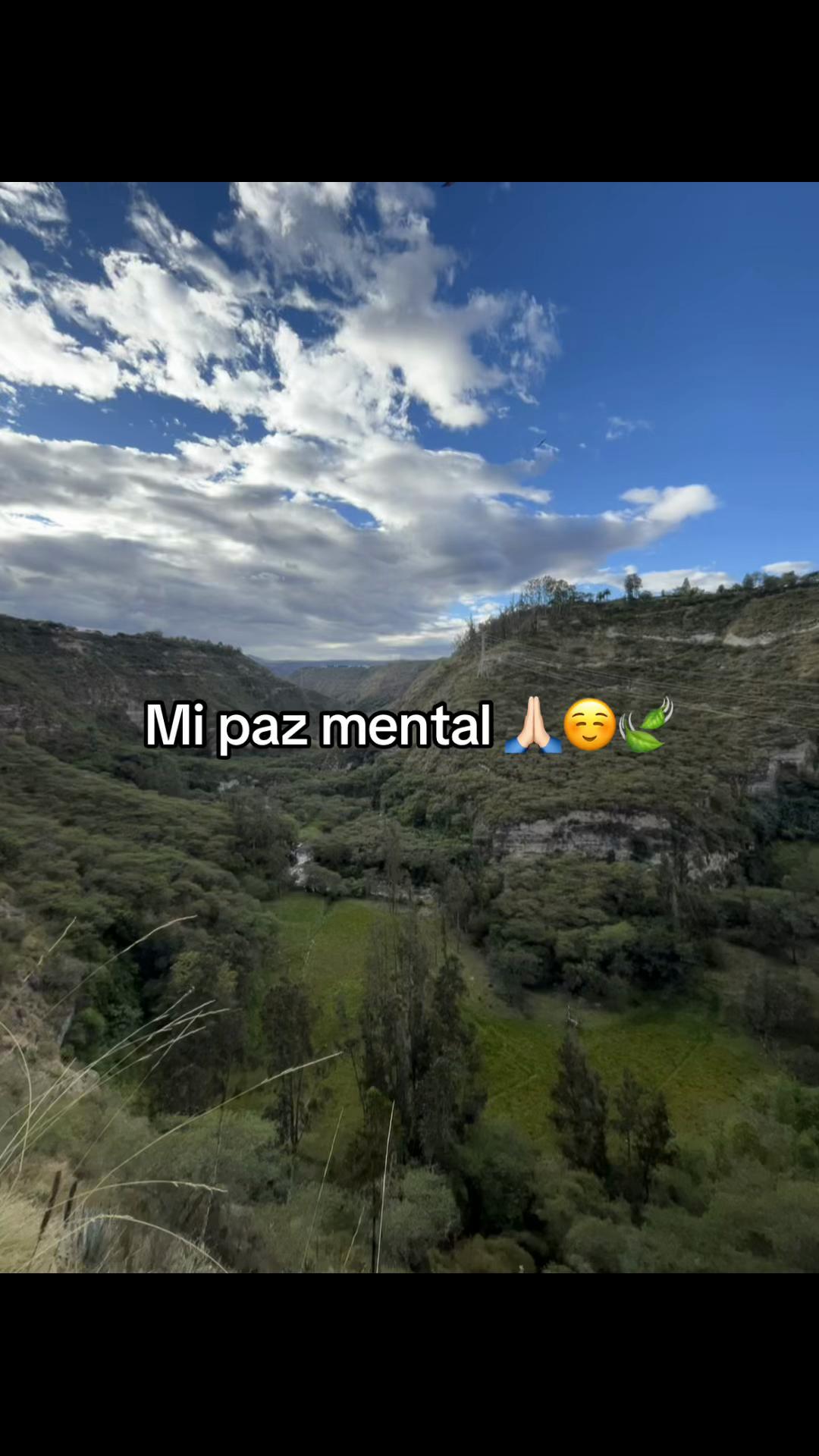 @Silvia Varela