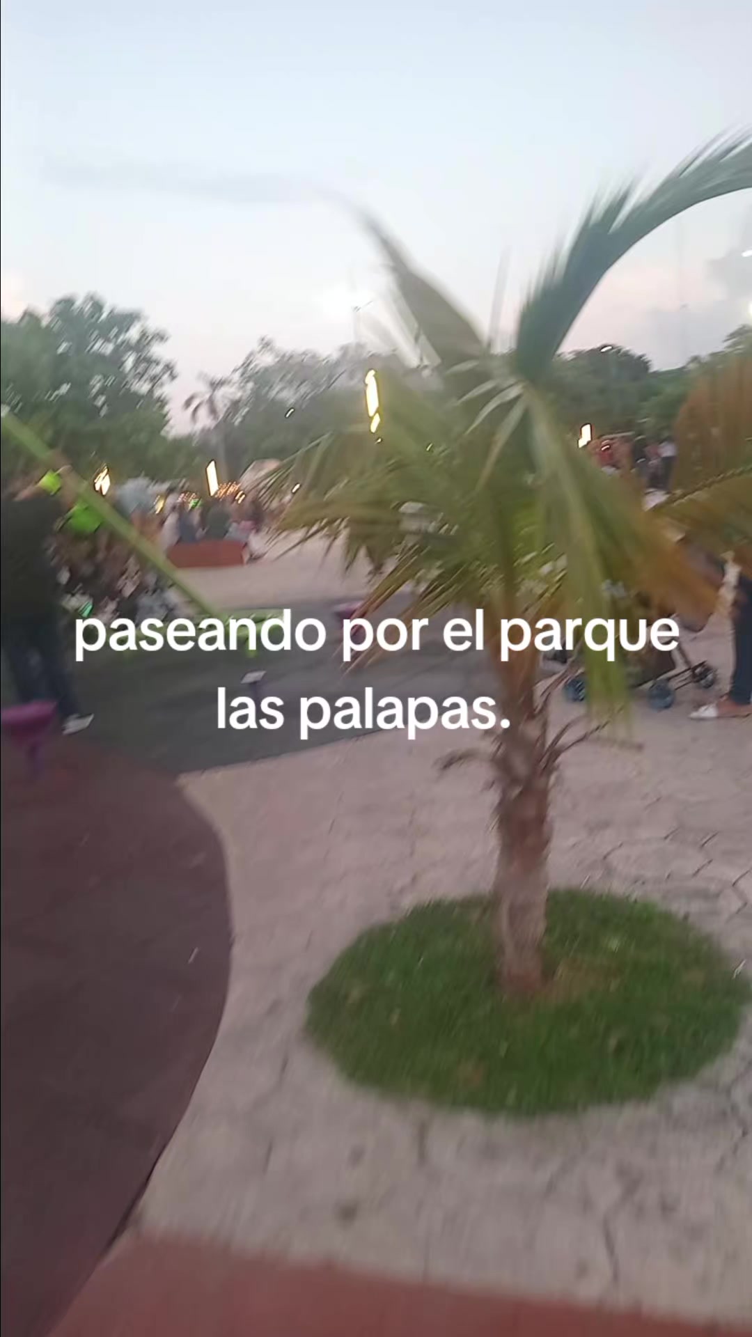 @Evelyn Bamaca