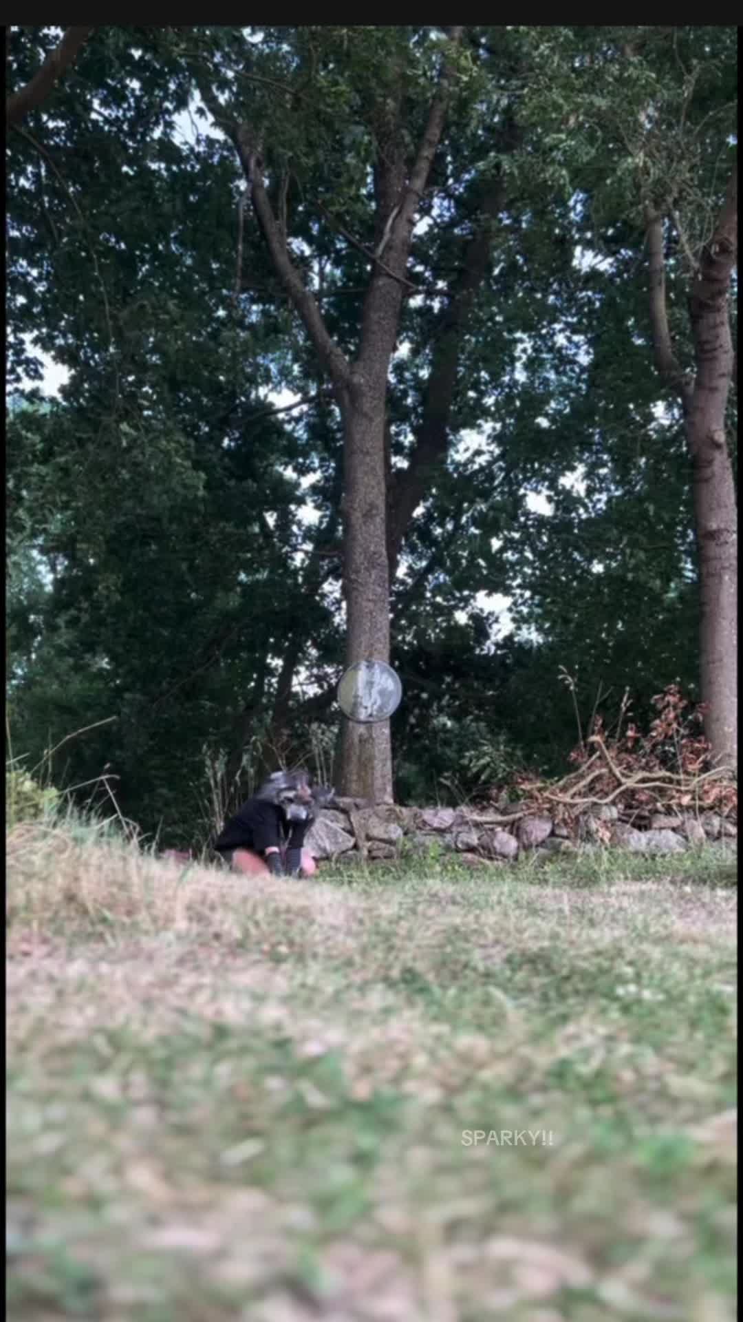@𓆉🍂𝓢𝓟𝓐𝓡𝓚𝓨🍁★
