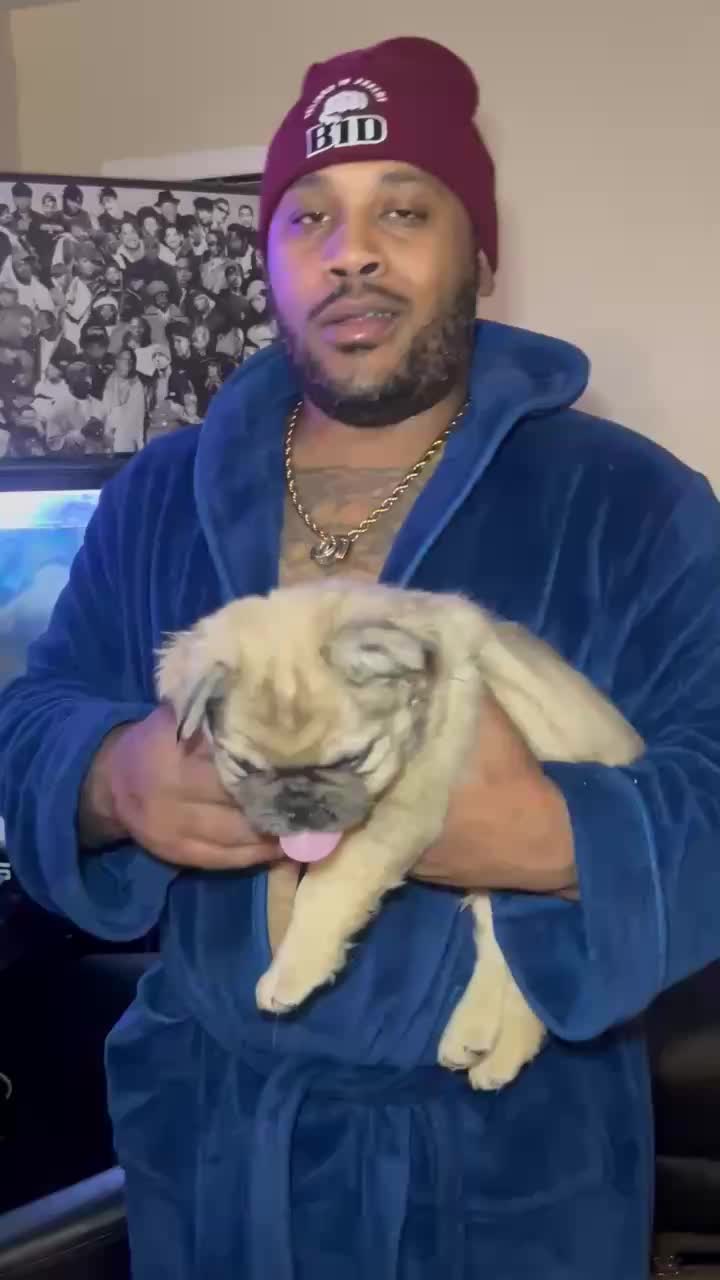 @Kane4L