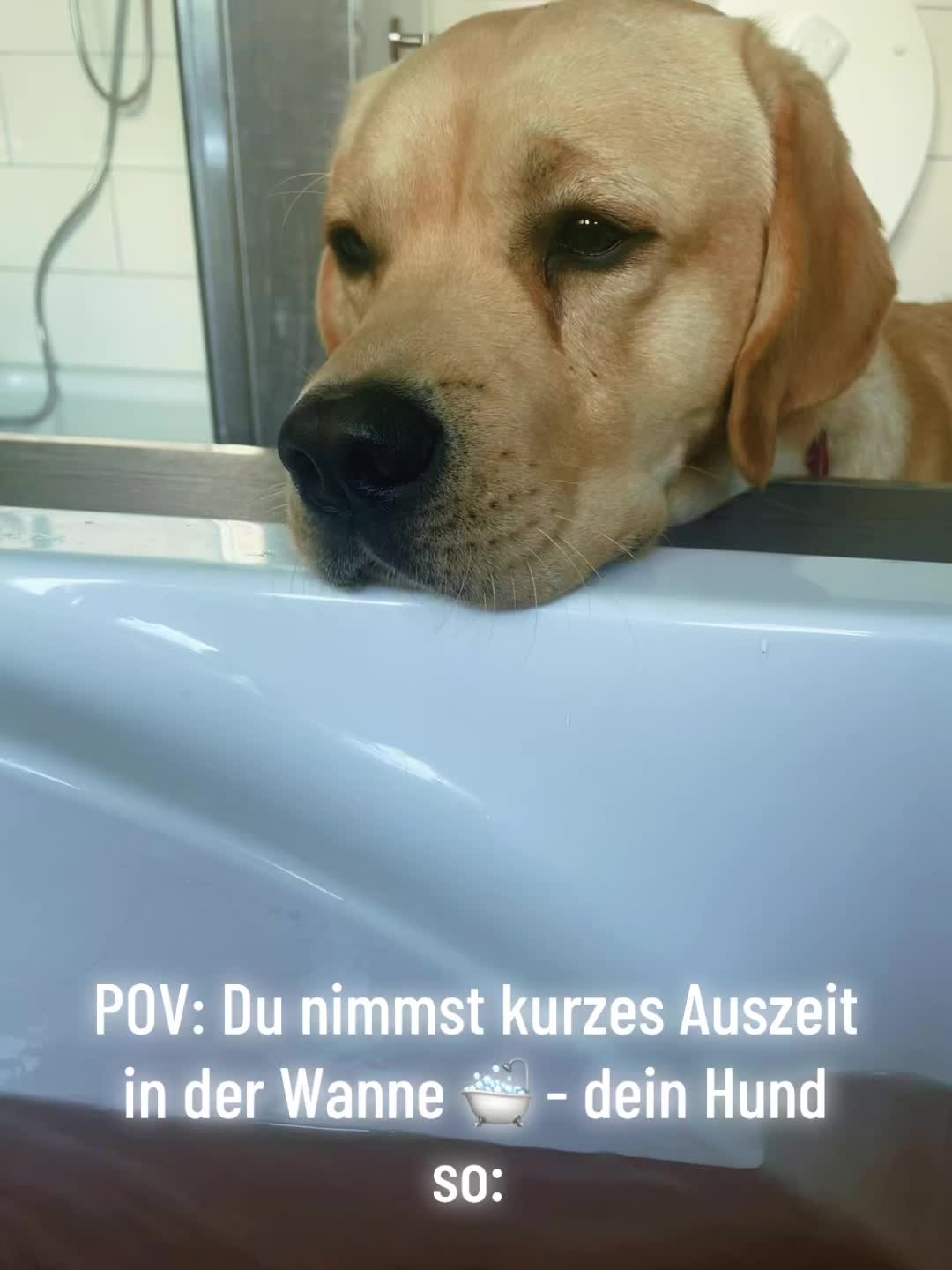 @Lenis-Hundewelt 🐾🐾