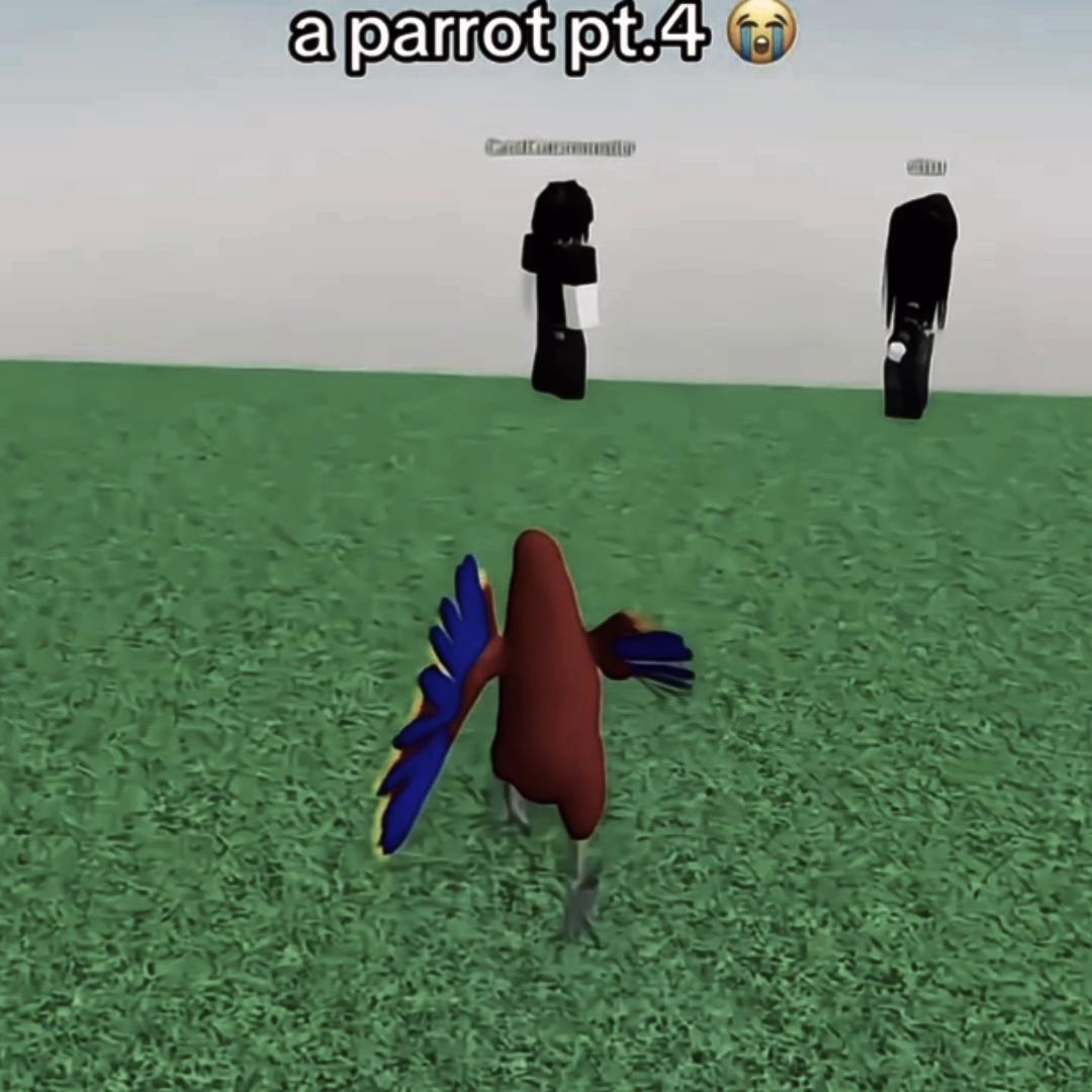 @ྀིПУШИНЧИК ྀི