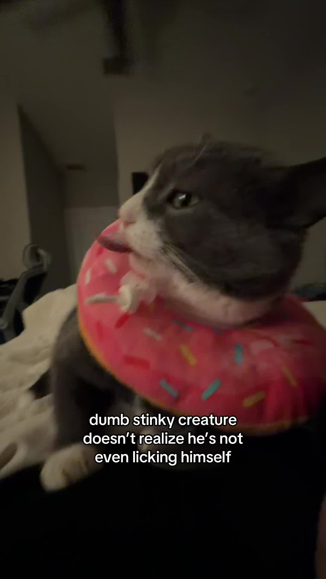 @stinkwalker
