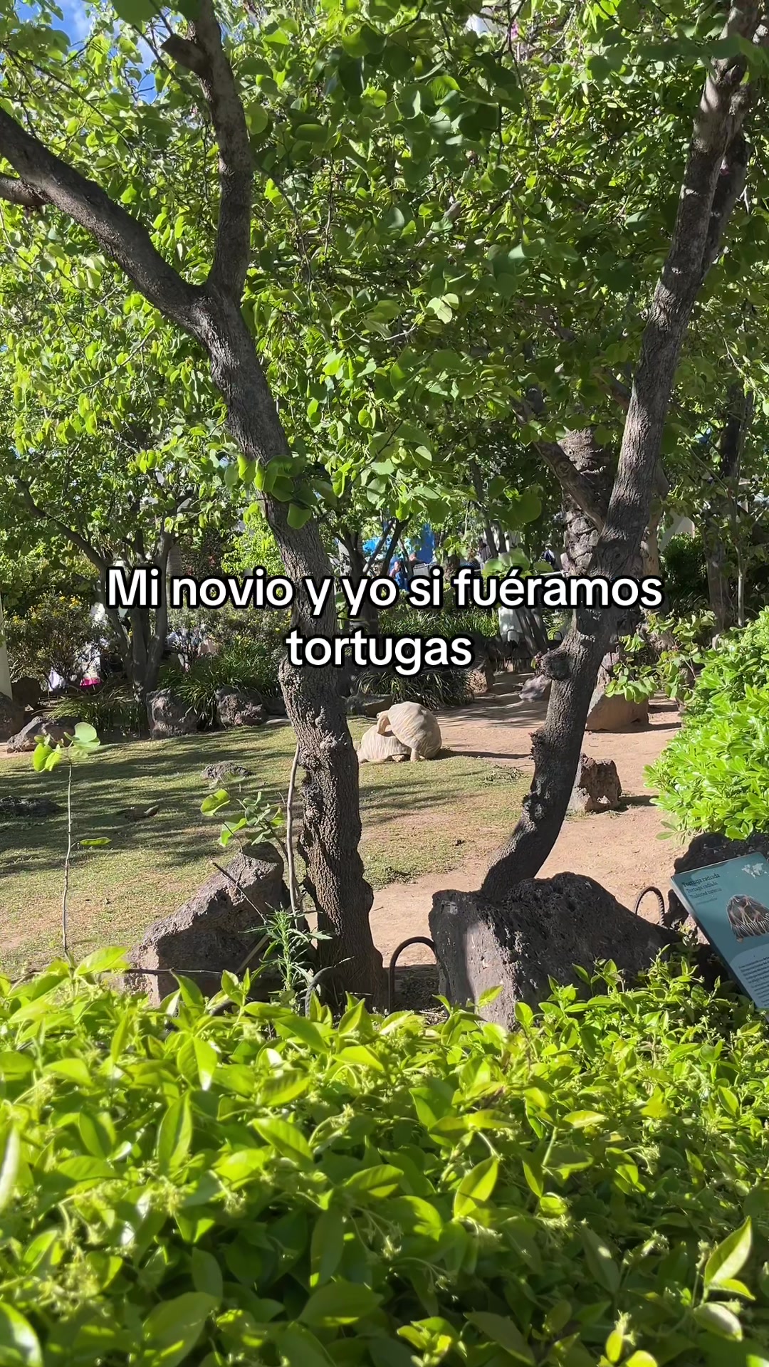 @viajerajenny