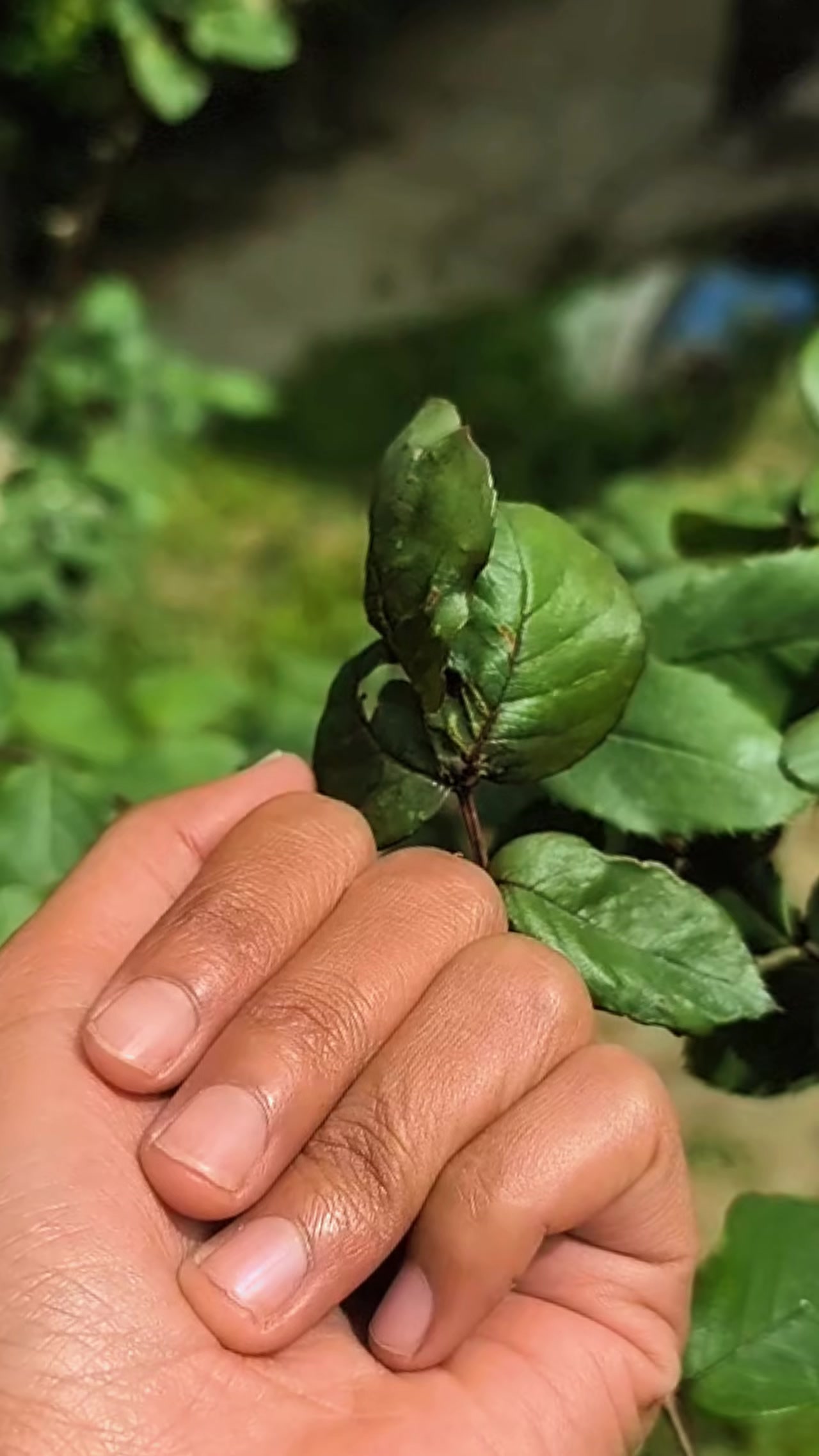 @सिर्जना27
