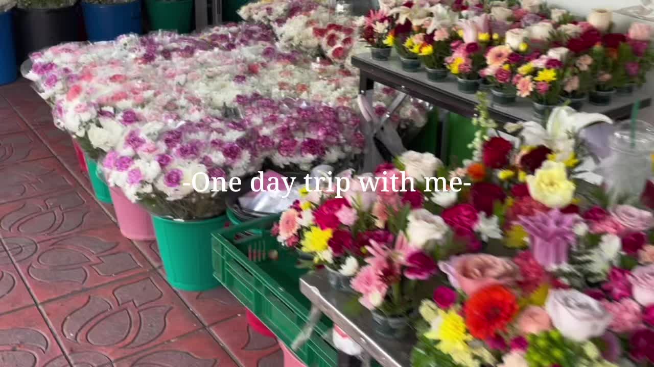 @พิชญา🪽