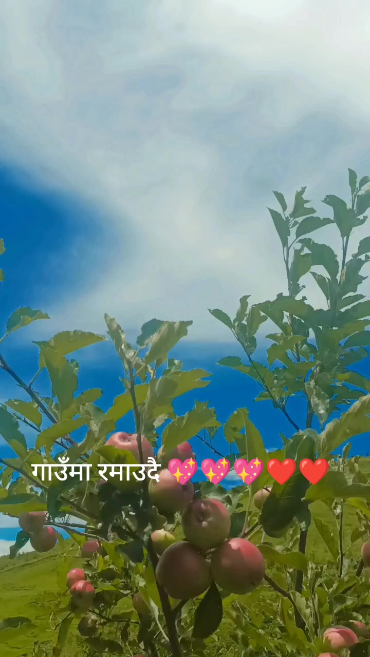 @Goma Shahi thakuri