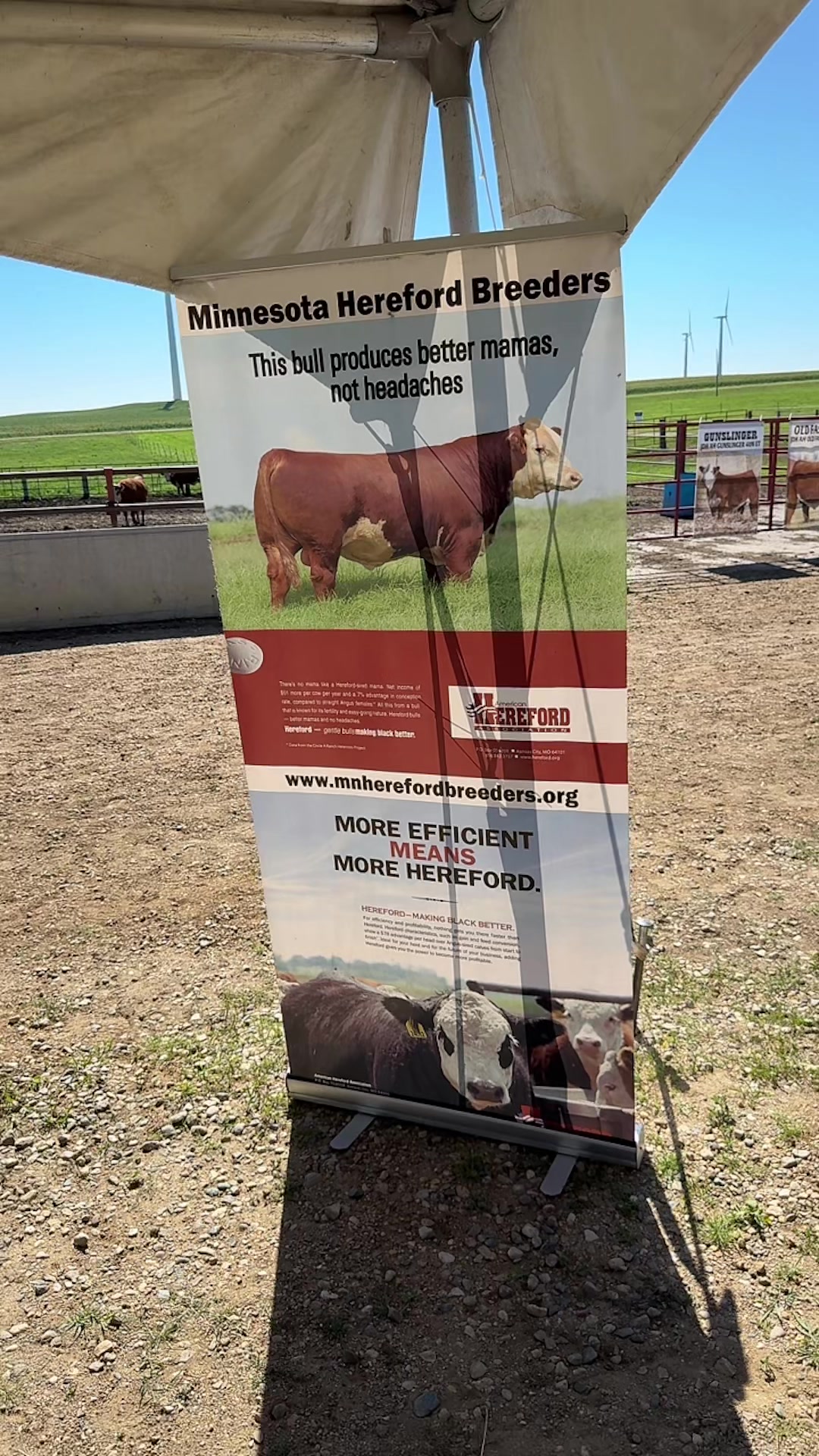 @Vos-Cattle-Co