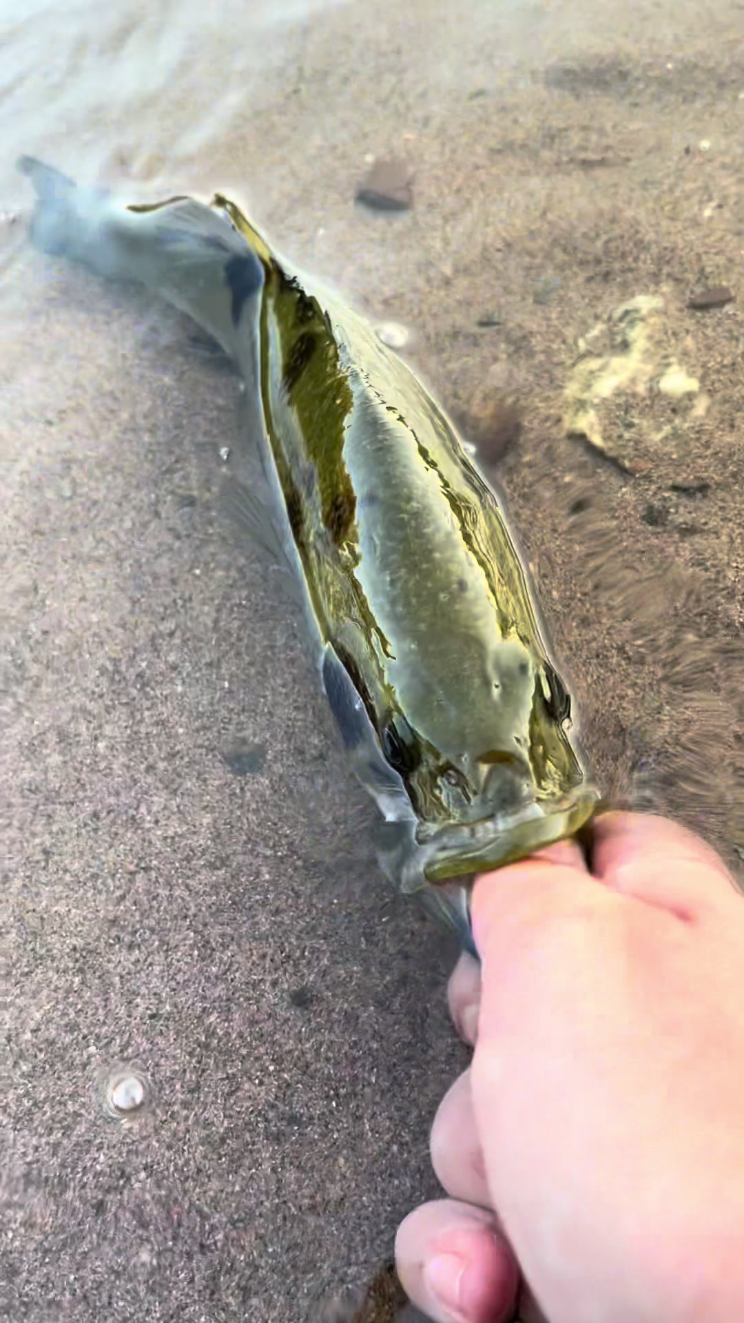 @lucky.hat.fly.fishing