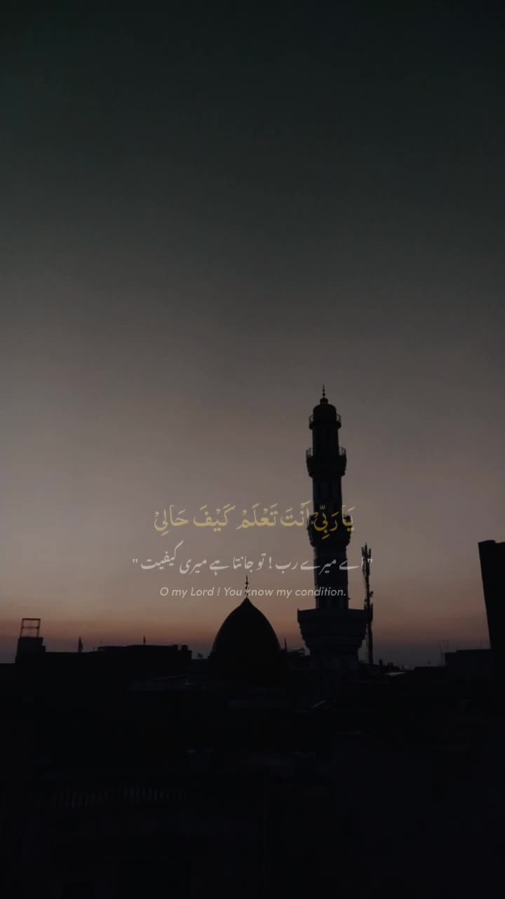 @Dr Amna Farooq
