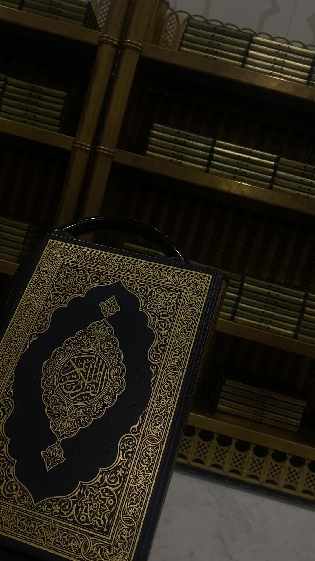 @efa.555