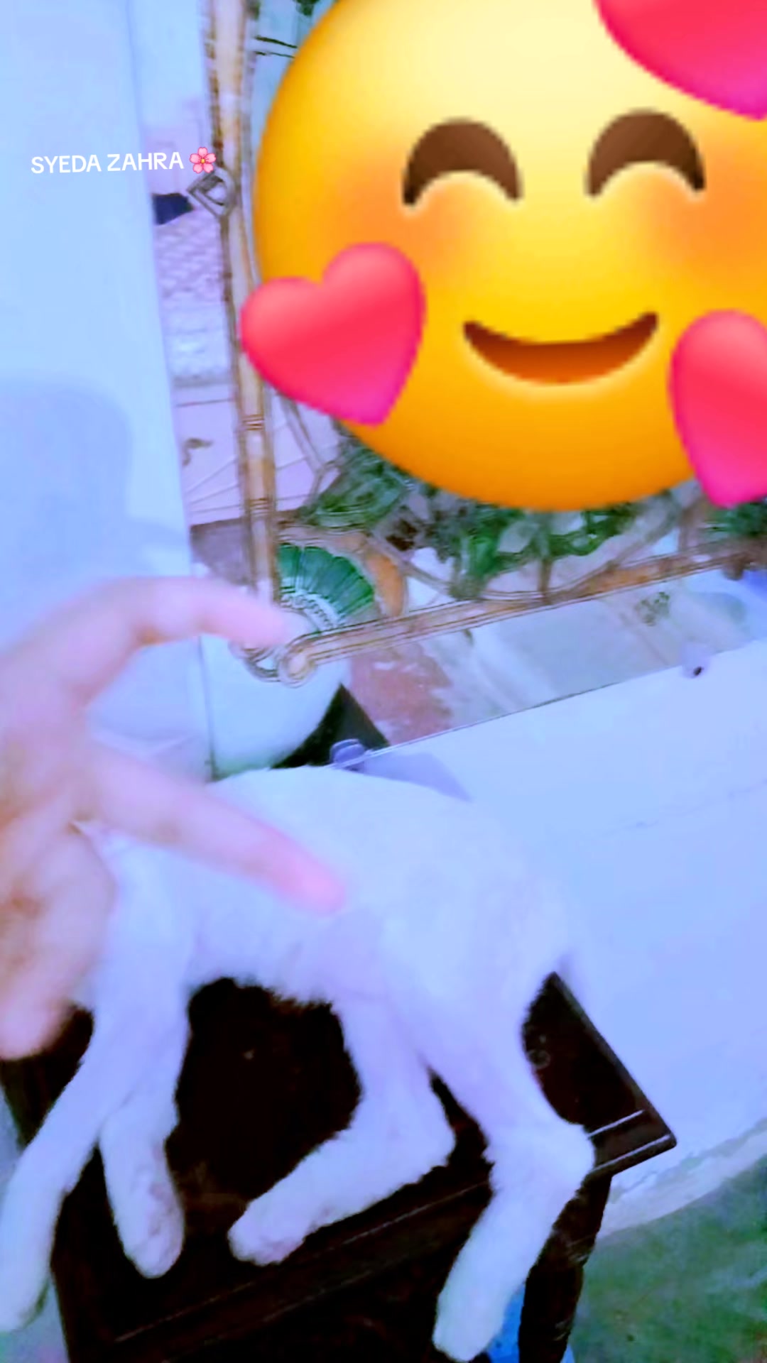 @SYEDA ZAHRA