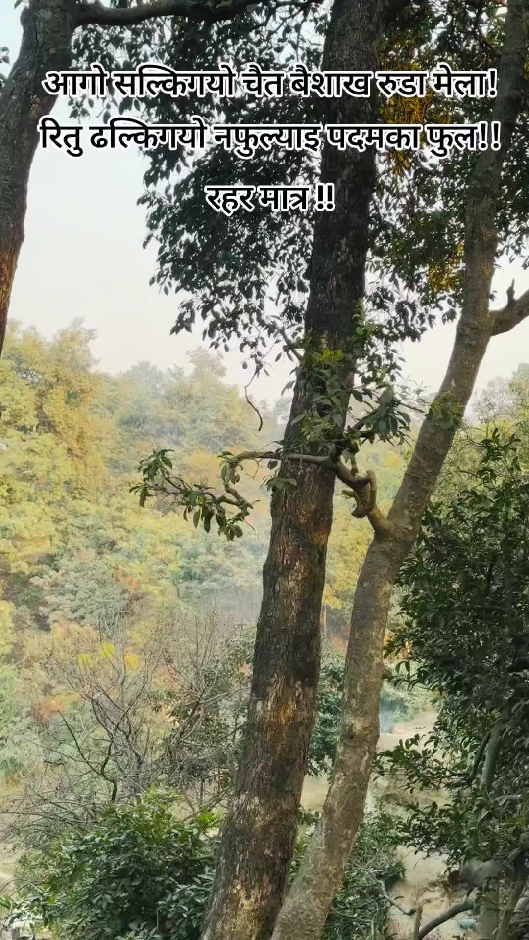 @राज ब बिष्ट