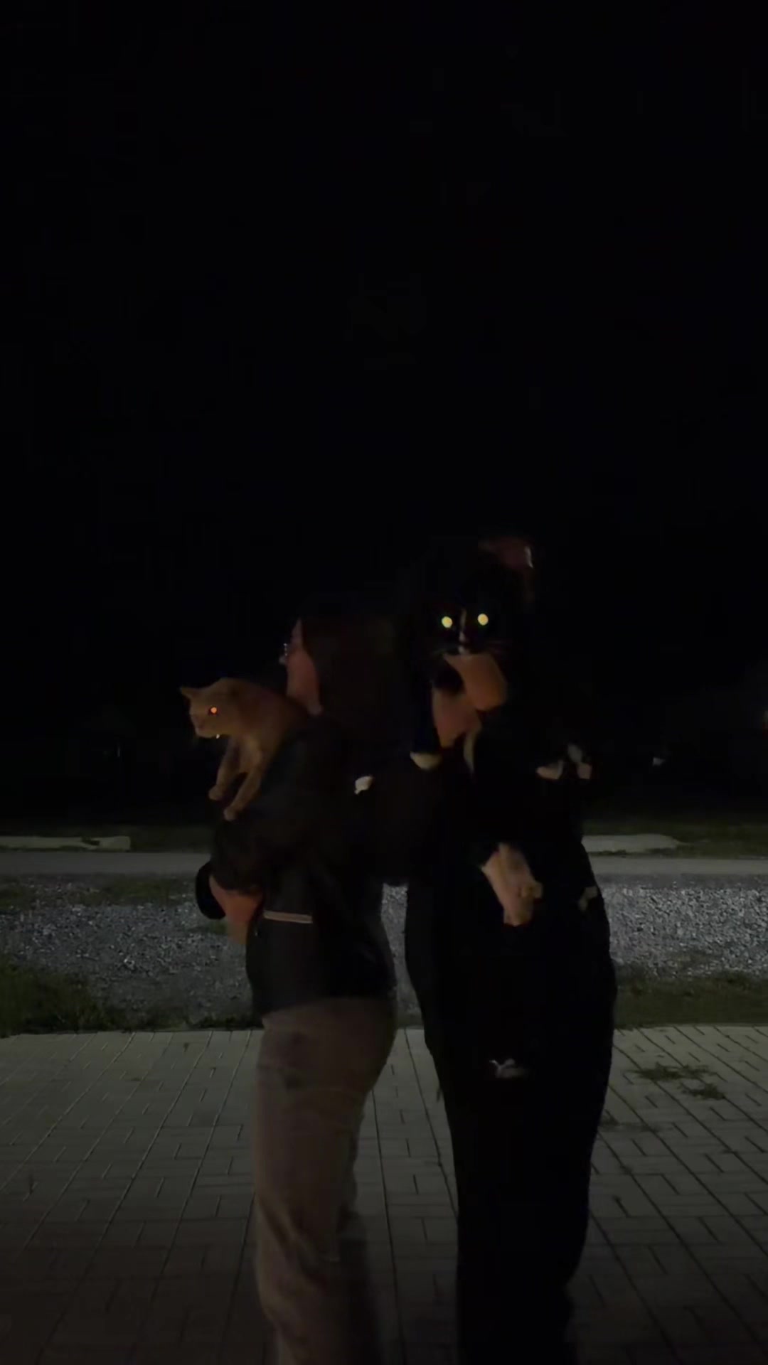 @av8
