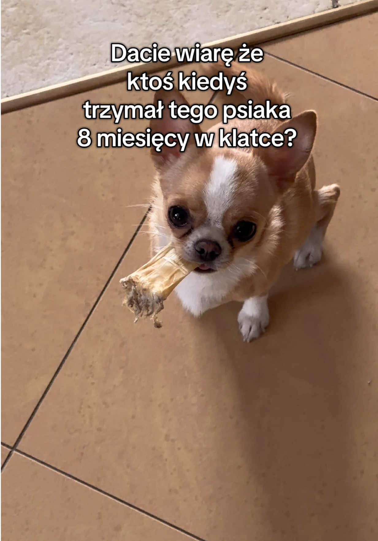 @Jagoda Dąbrowska