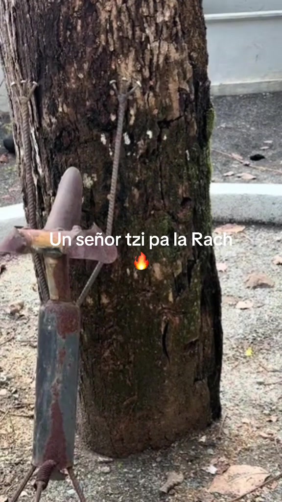 @Pedrito JD