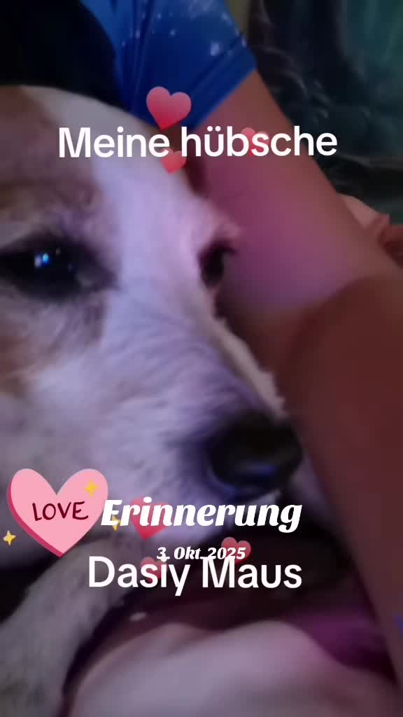 @Mausi❤️😘❤️