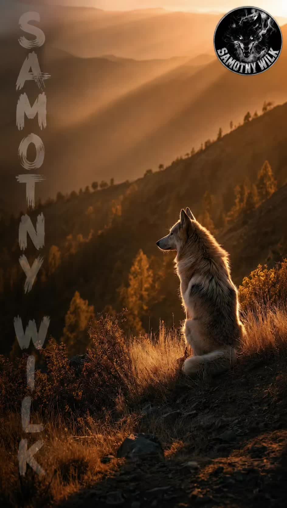 @Samotny Wilk 🐺🐦🔥♈