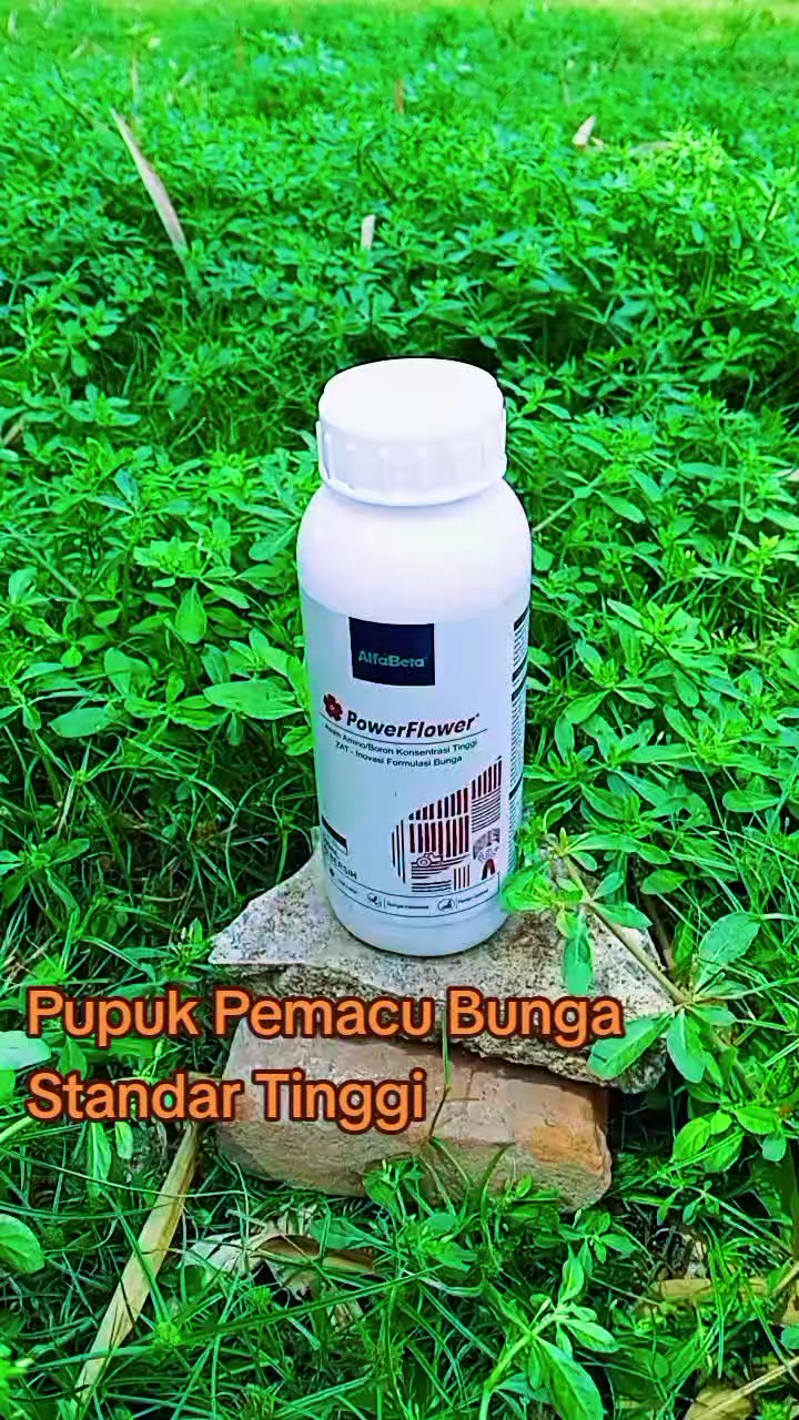 @Sahabat Tani