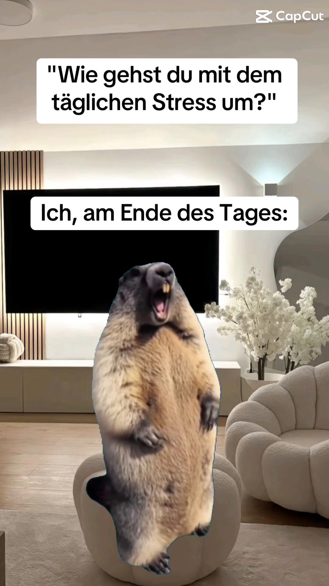 @Ann-Kathrin🦋