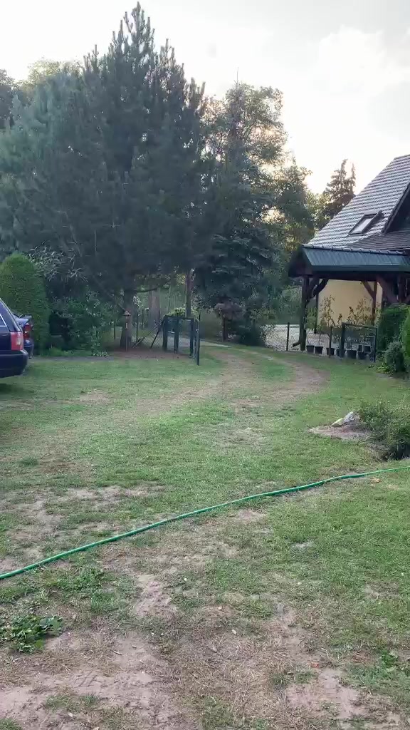 @stockies78
