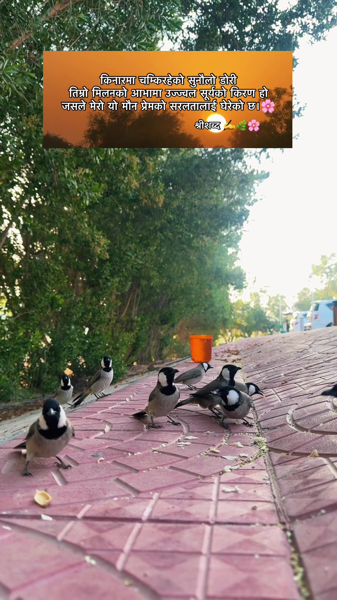 @🌿श्रीशब्द&hellip;.✍️🕊️🍁🍂