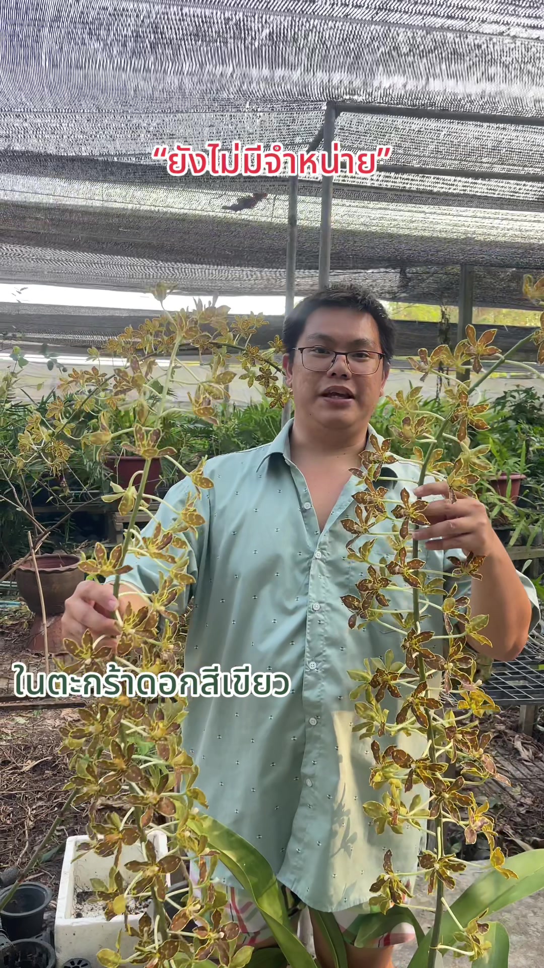@Waree เพิ่มพูนทรัพย์