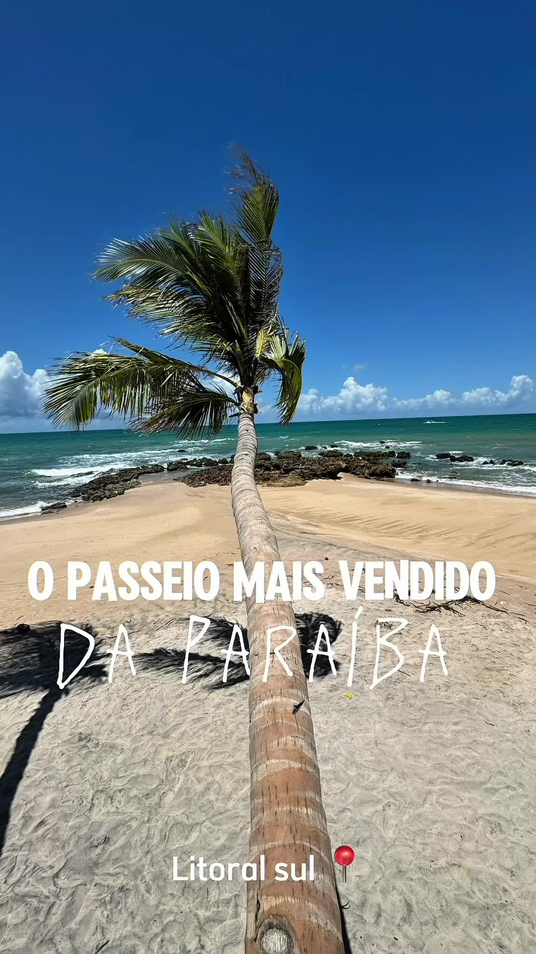 @Jampa Paradise
