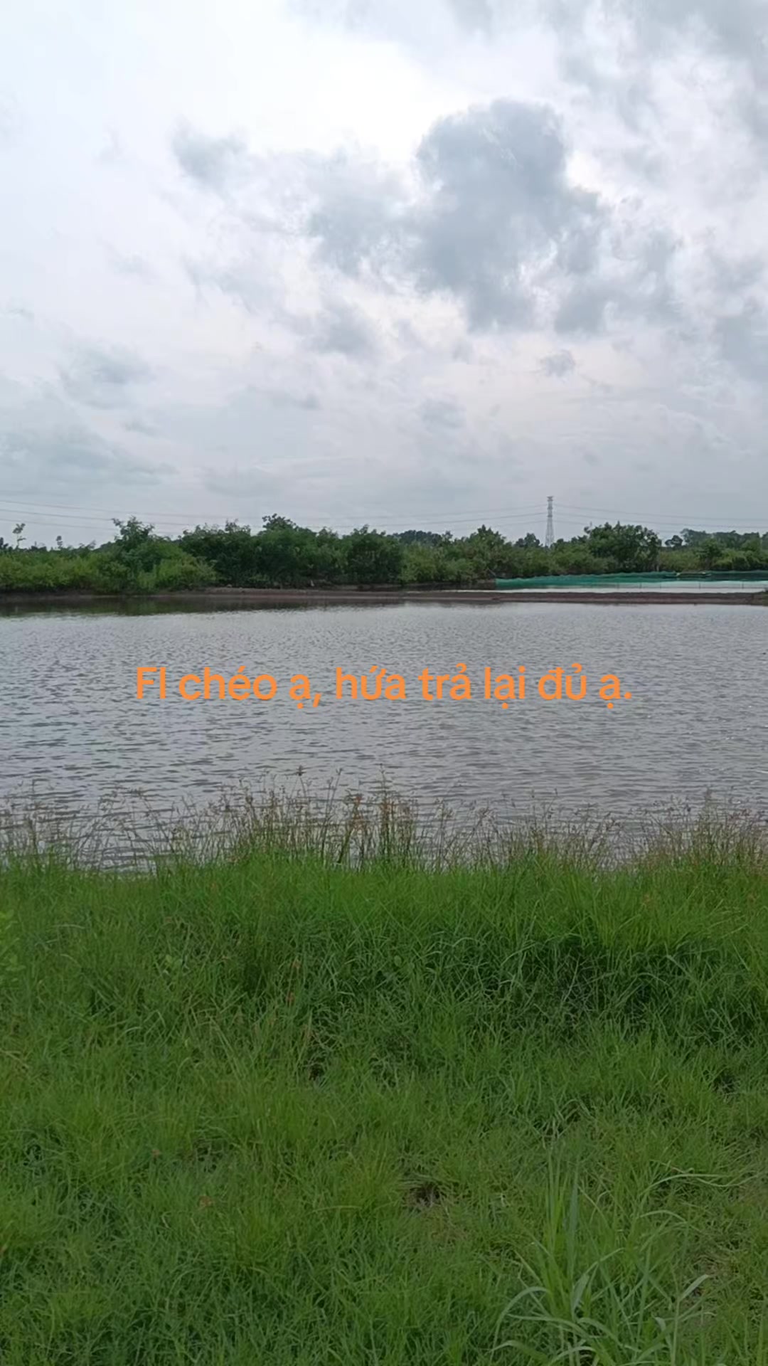 @Ngọc Nữ