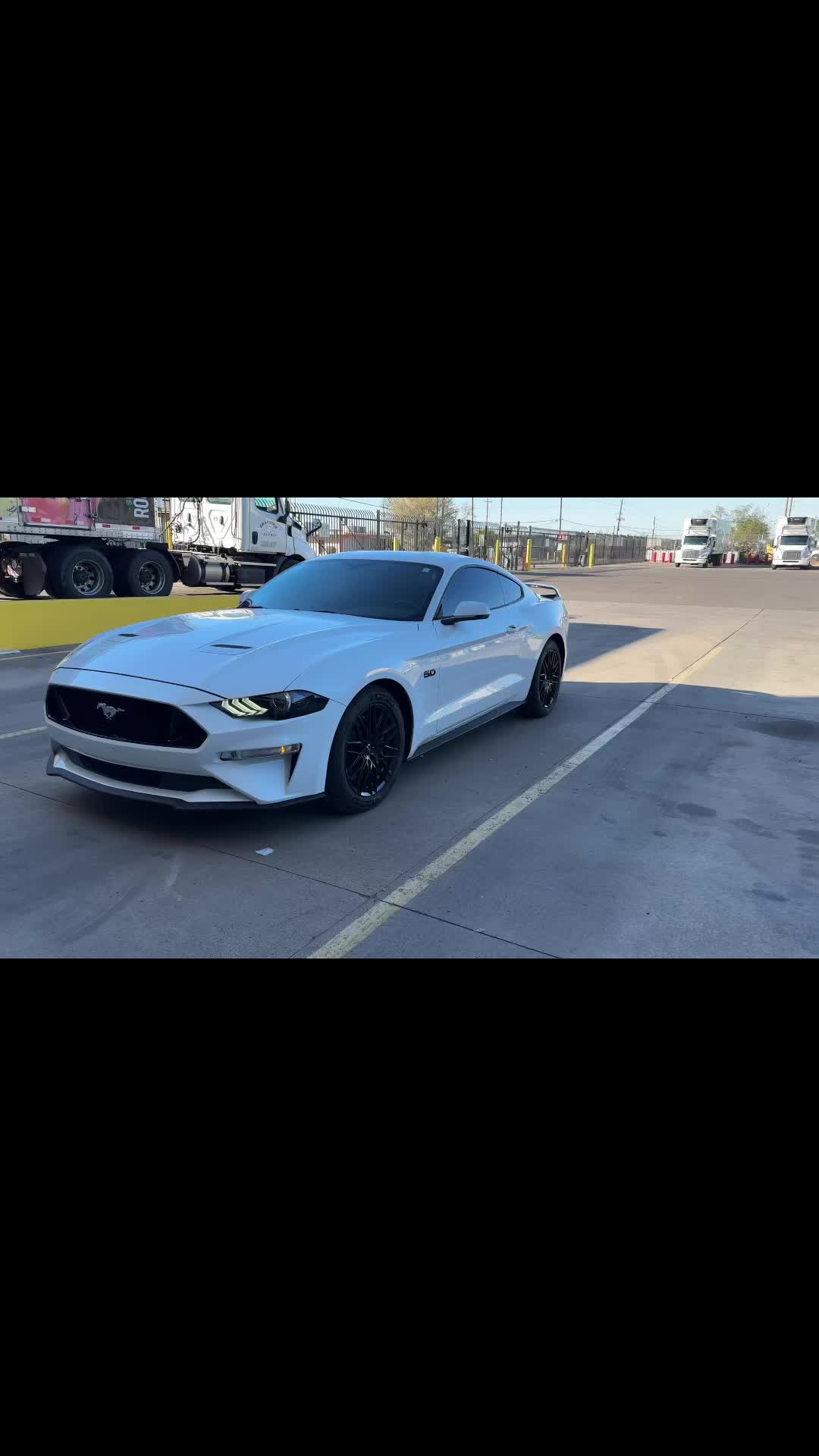 @5.0 Snowyy