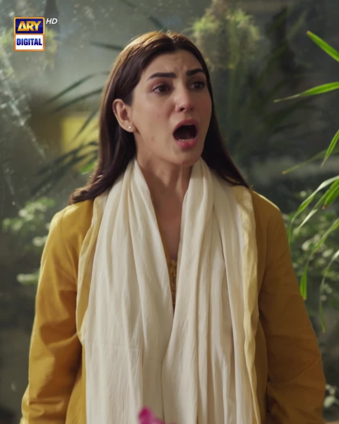 @ARY DIGITAL