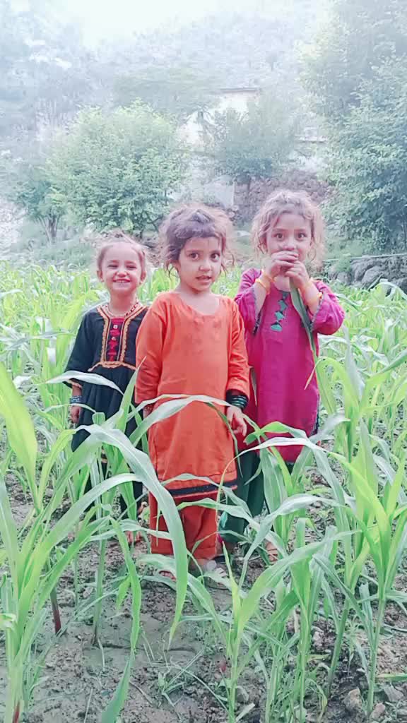 @zarbatkhan
