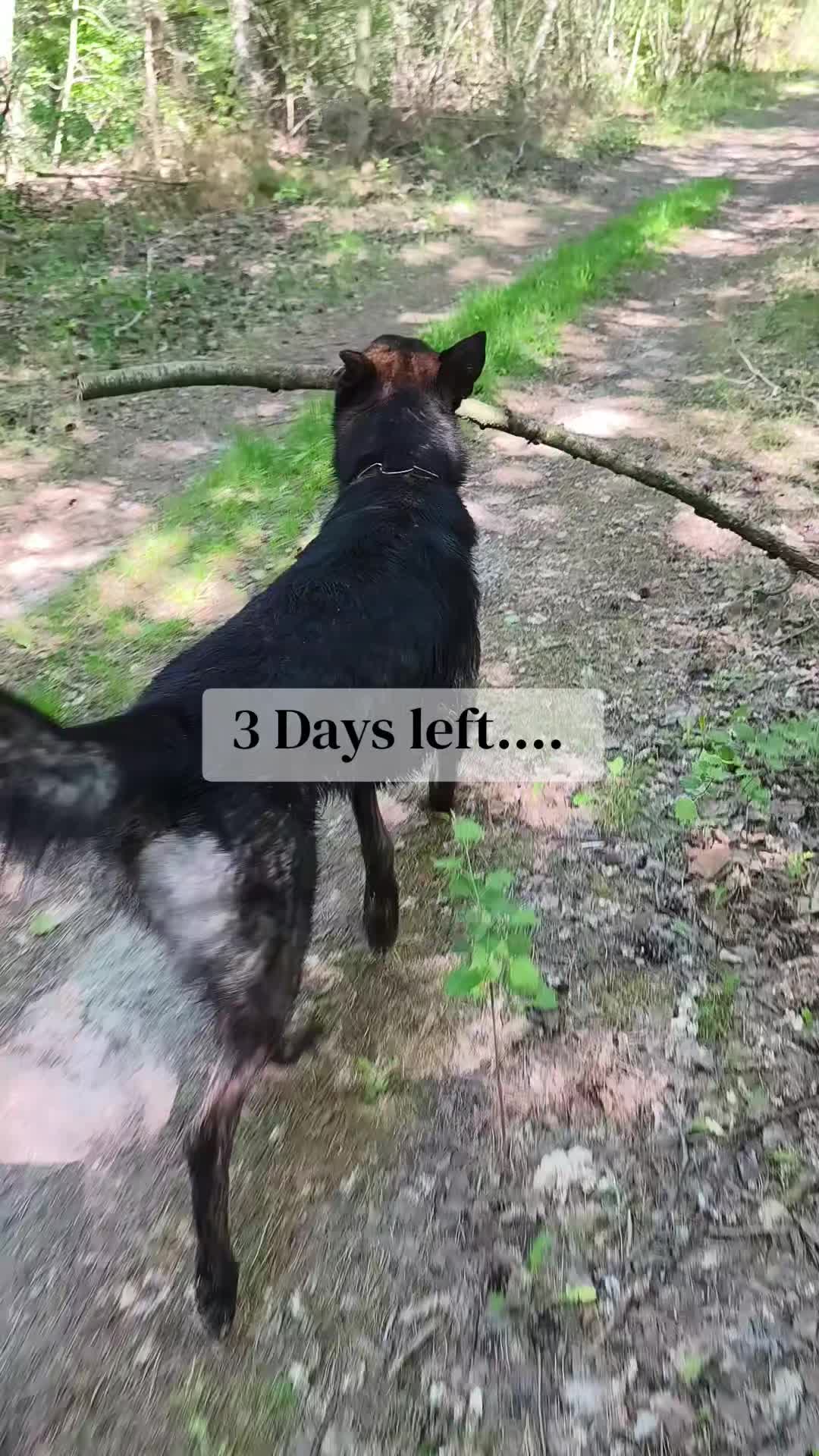 @Anna & Neo 🖤🐾
