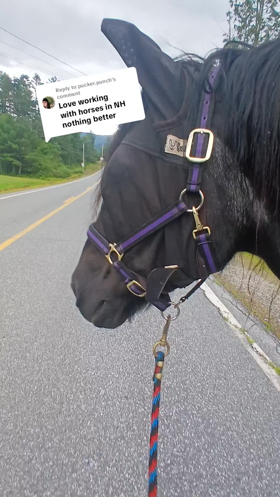 @Carolina Rambler