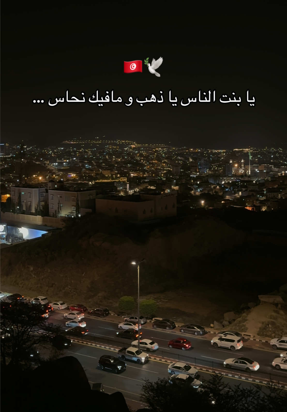 @fedia_🇹🇳