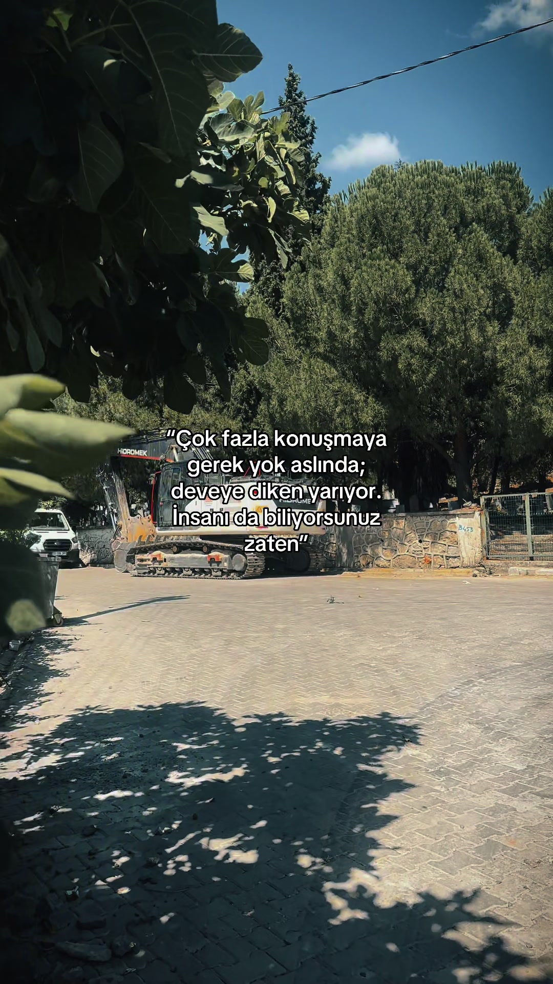 @İbrahim 🐅