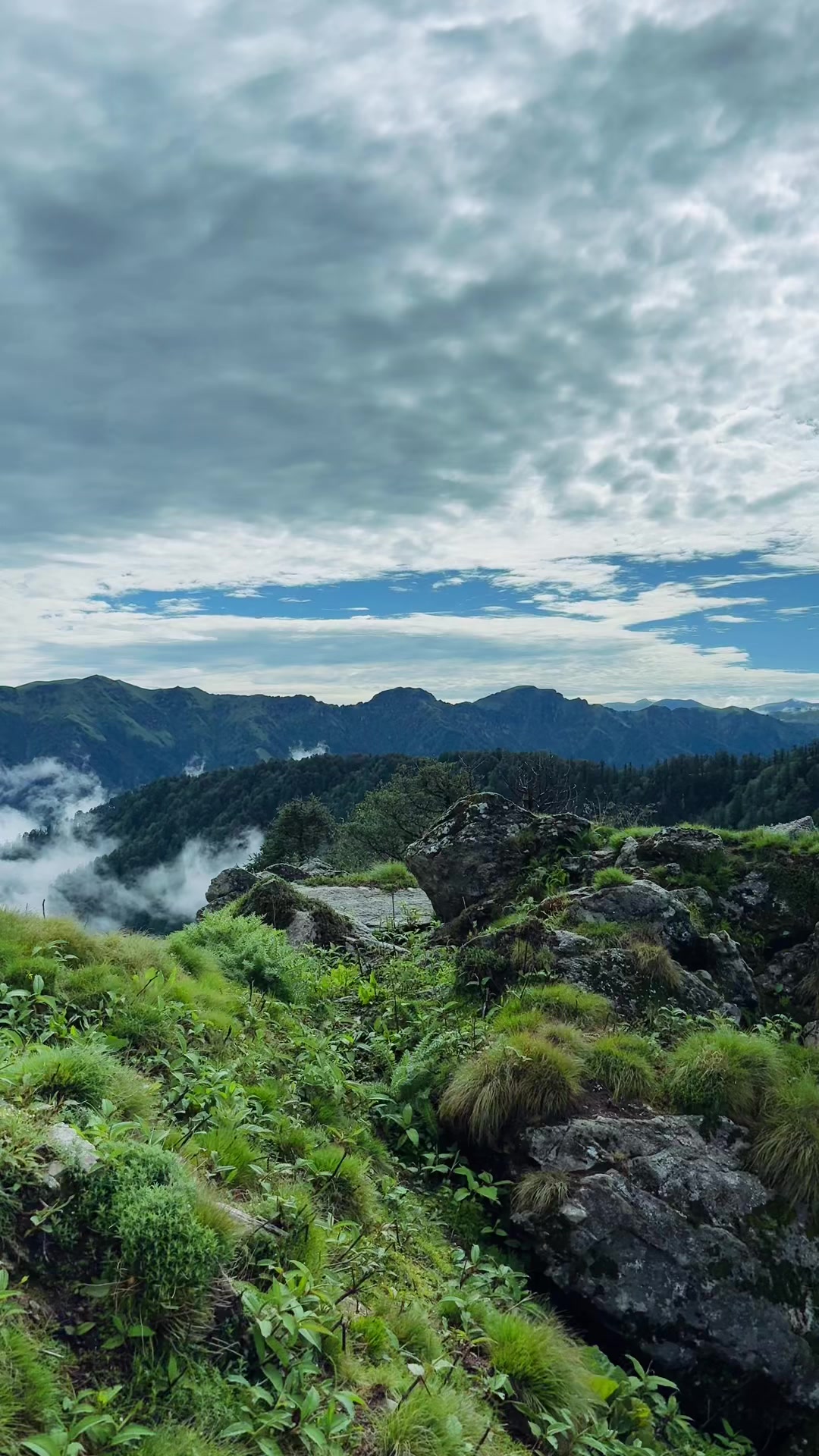 @Sangita Deuba🕉️