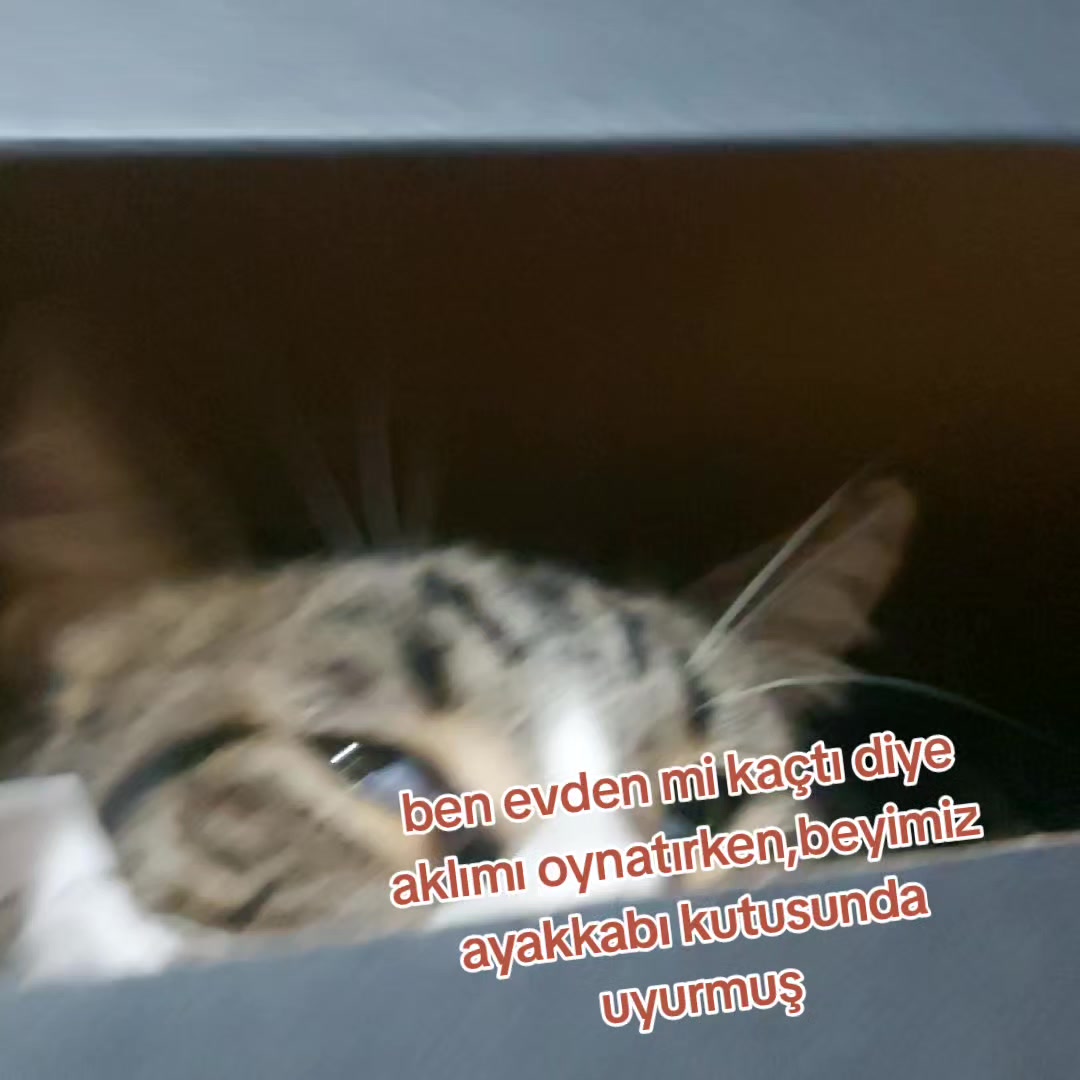 @GoncaBıçakUlaştısoy