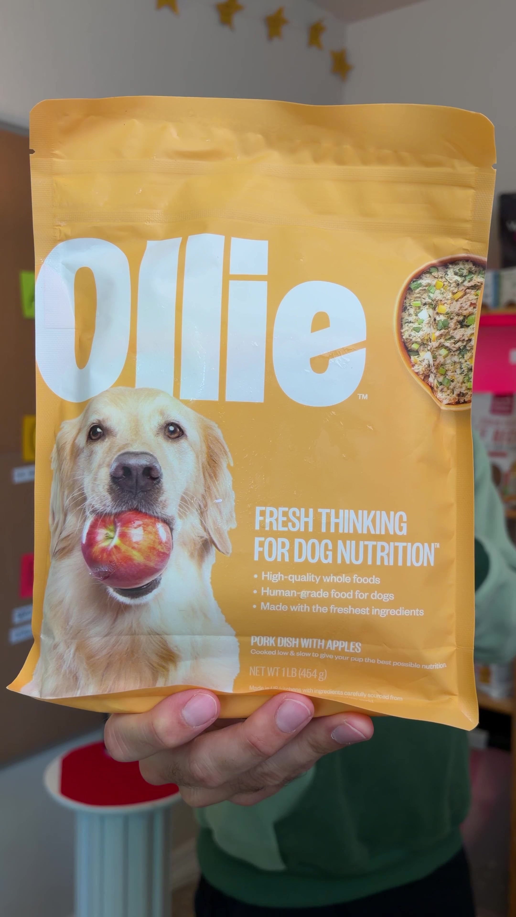 @The BK Pets - Dog Food Tips