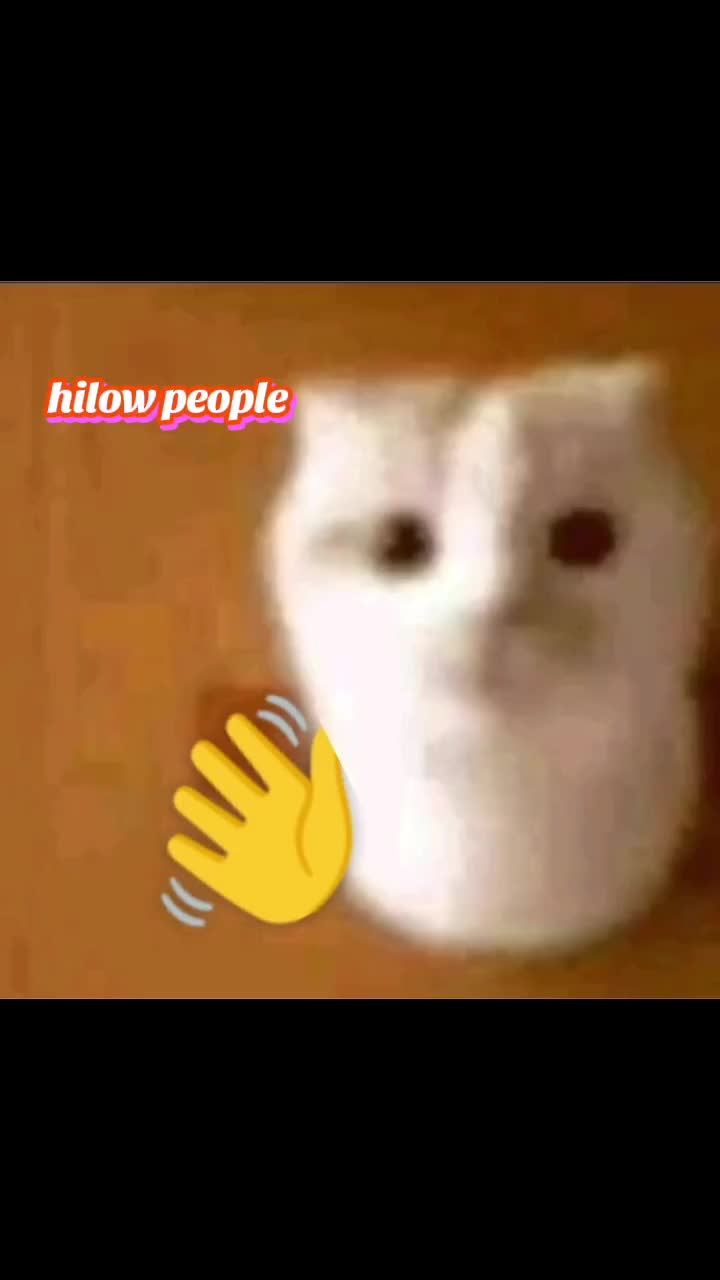 @RandomXPhox