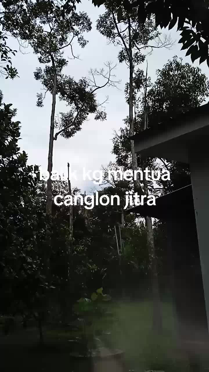 @awie black lagutu kata