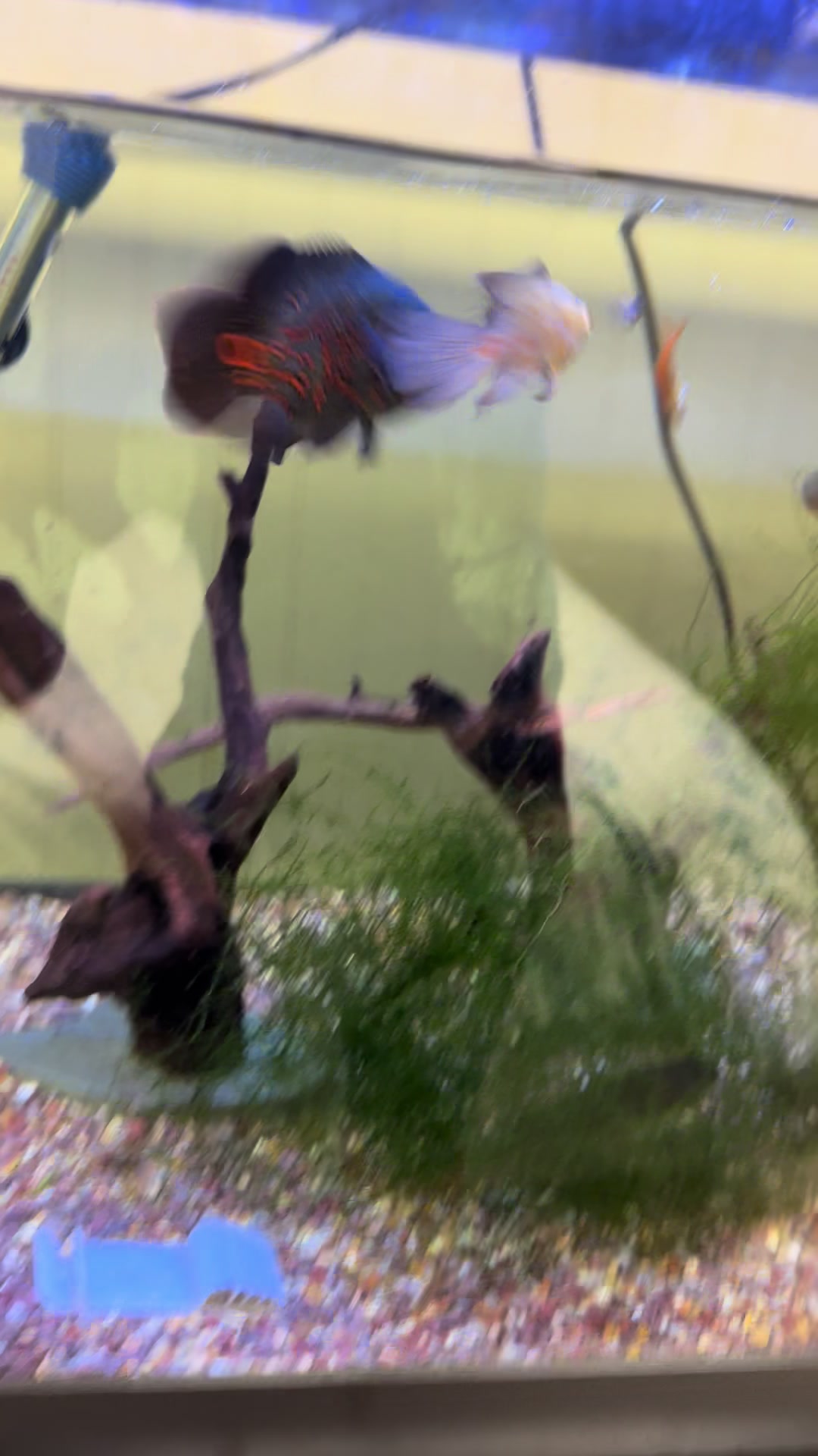 @fishdaddy2002