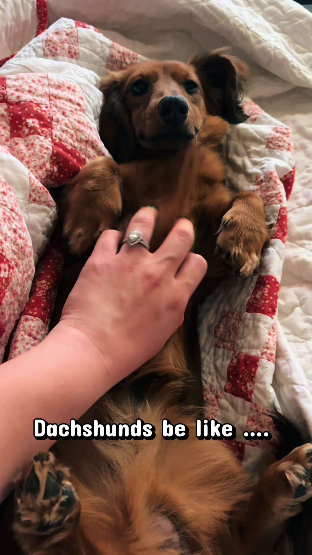 @remi.the.mini.ween