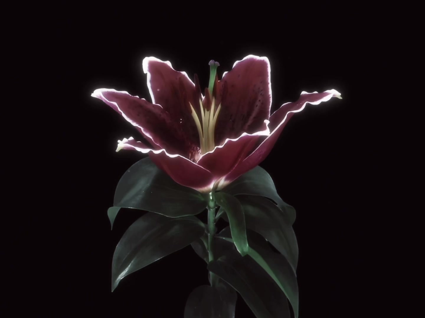 @ᶻ 𝗓 𐰁