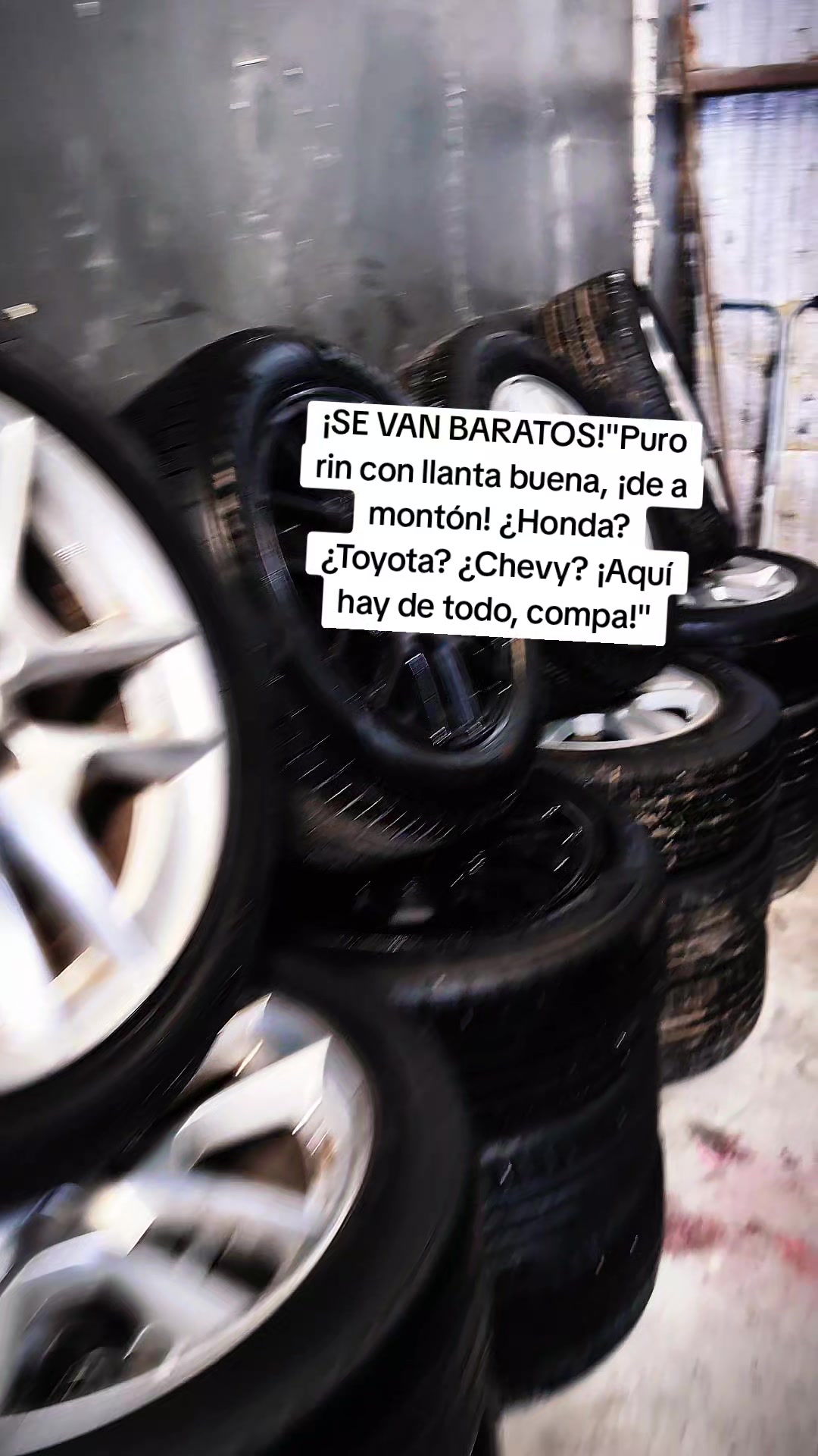 @dongato69