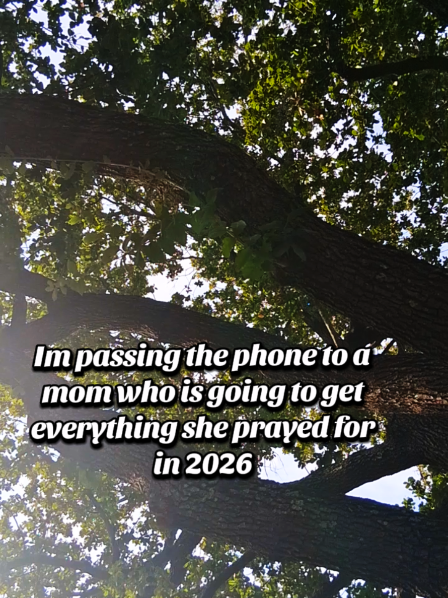 @Brandee ✨️🌿