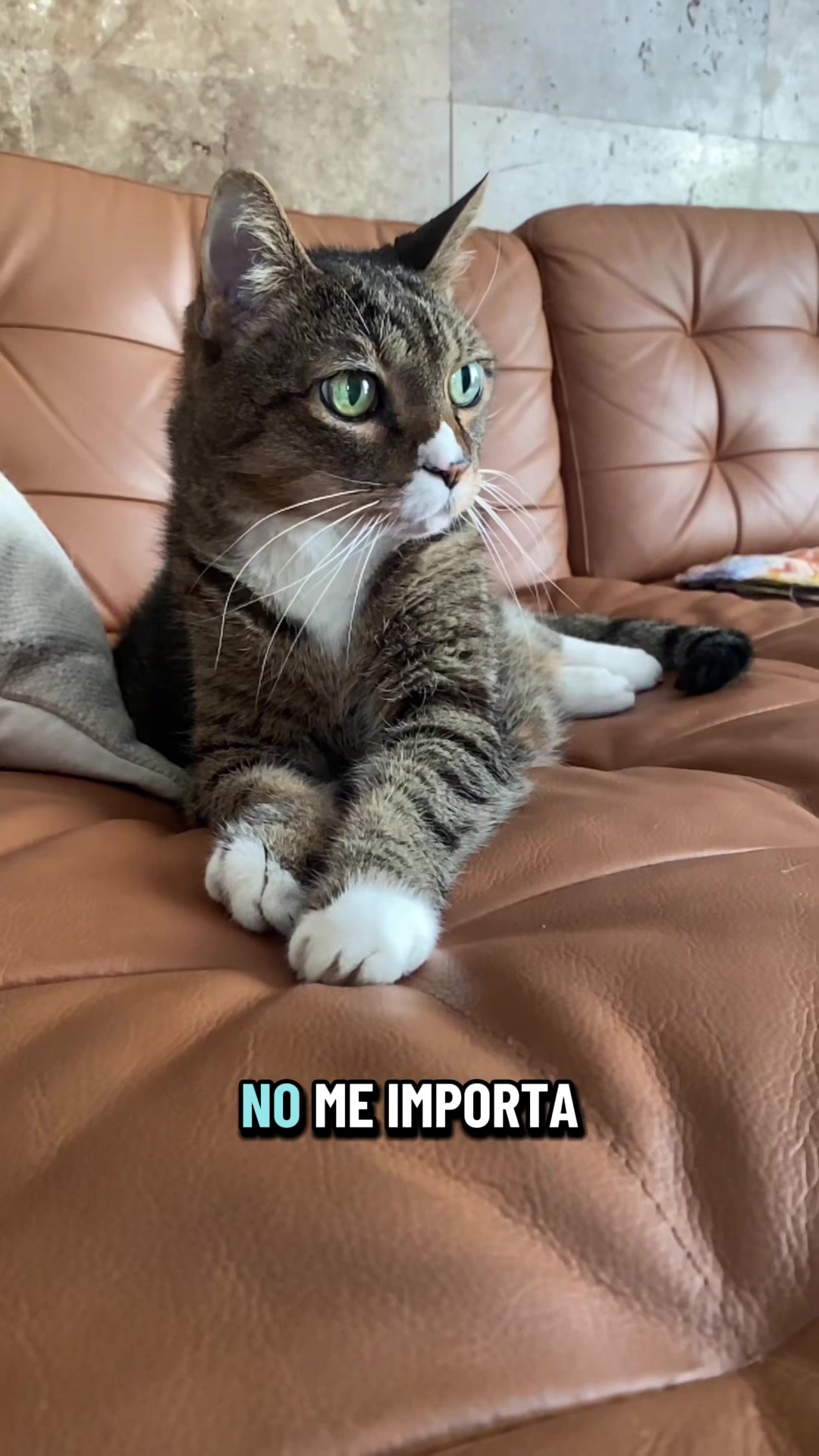 @Isa Baci