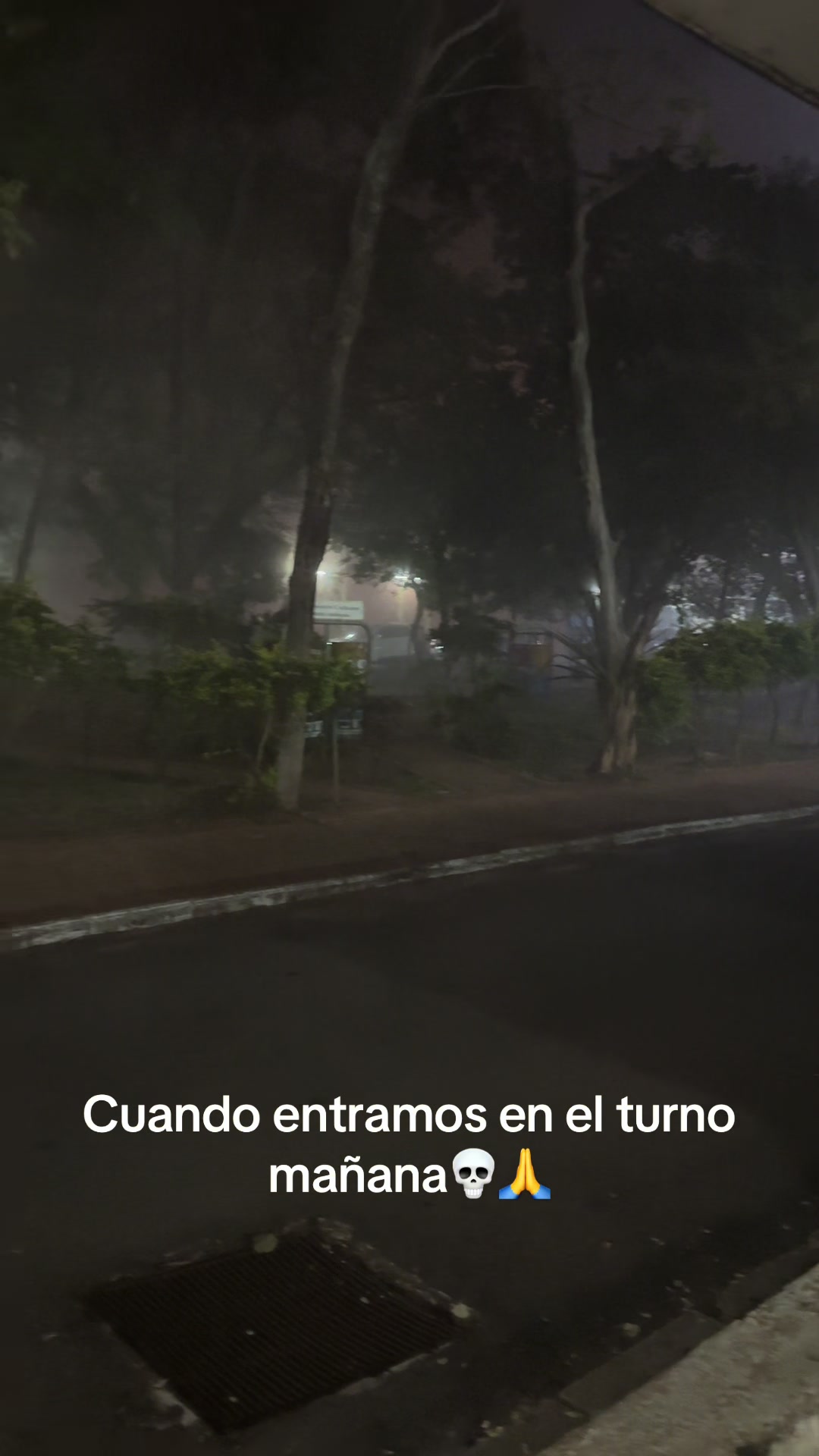 @profemiryam