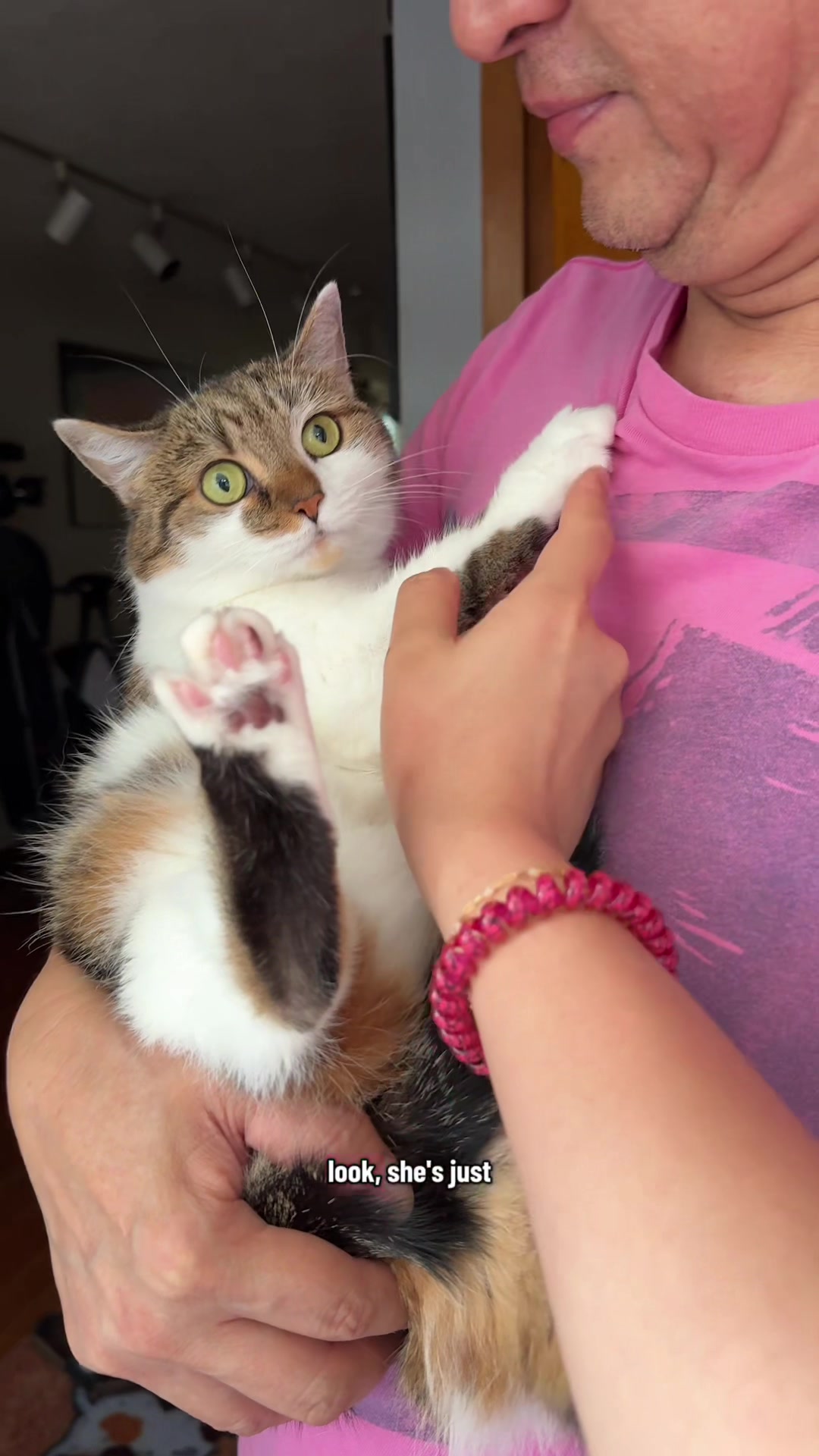 @Suki Purrs