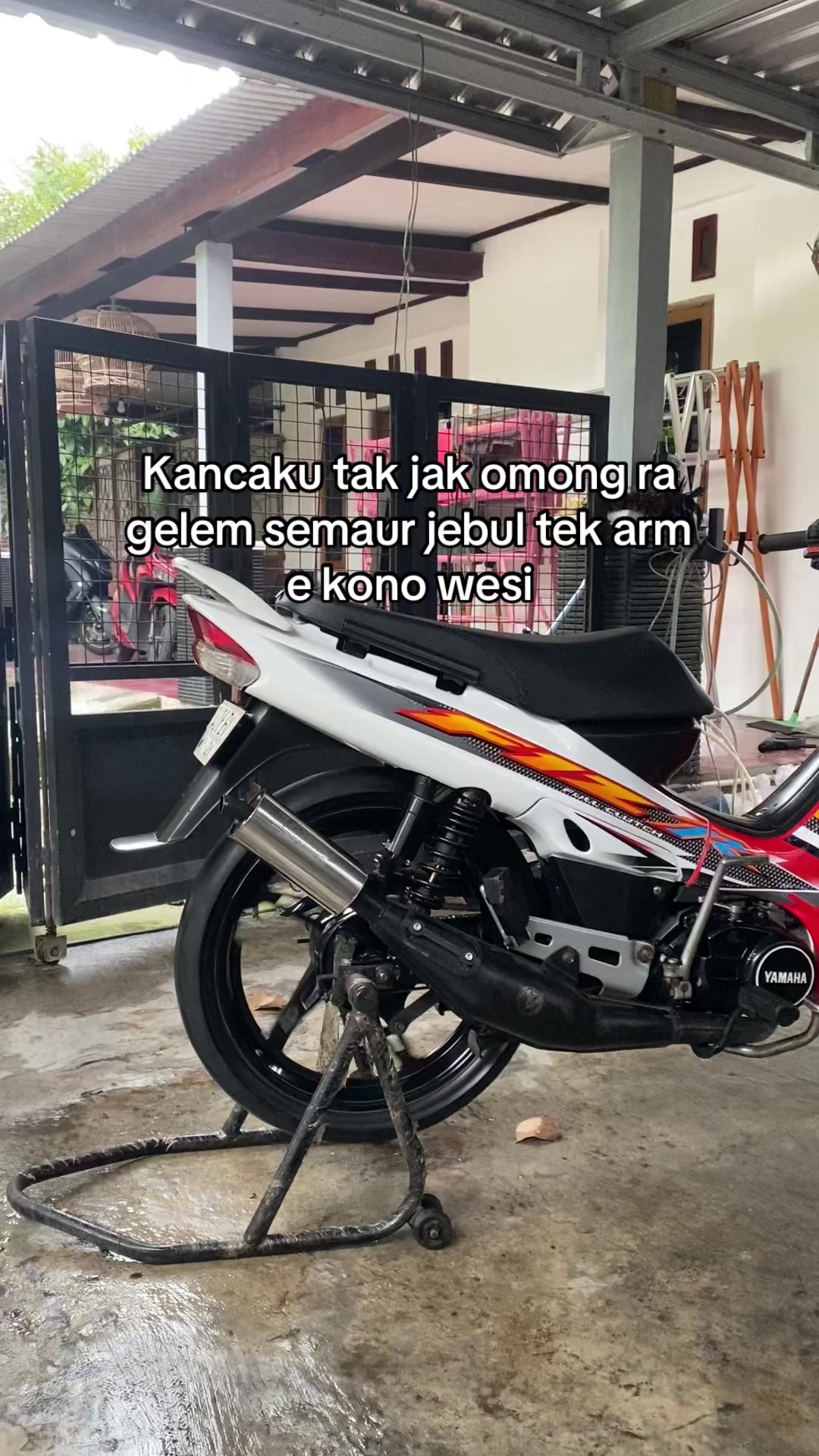 @Denzmux